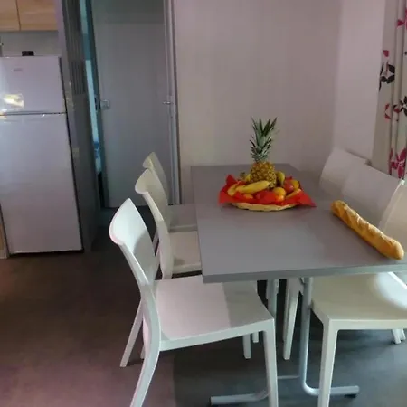 4 Etoiles - Parc Aquatique - Eecfbf Campsite 4*